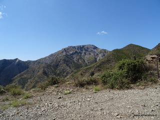 nte Scuderi-05-09-2020 12